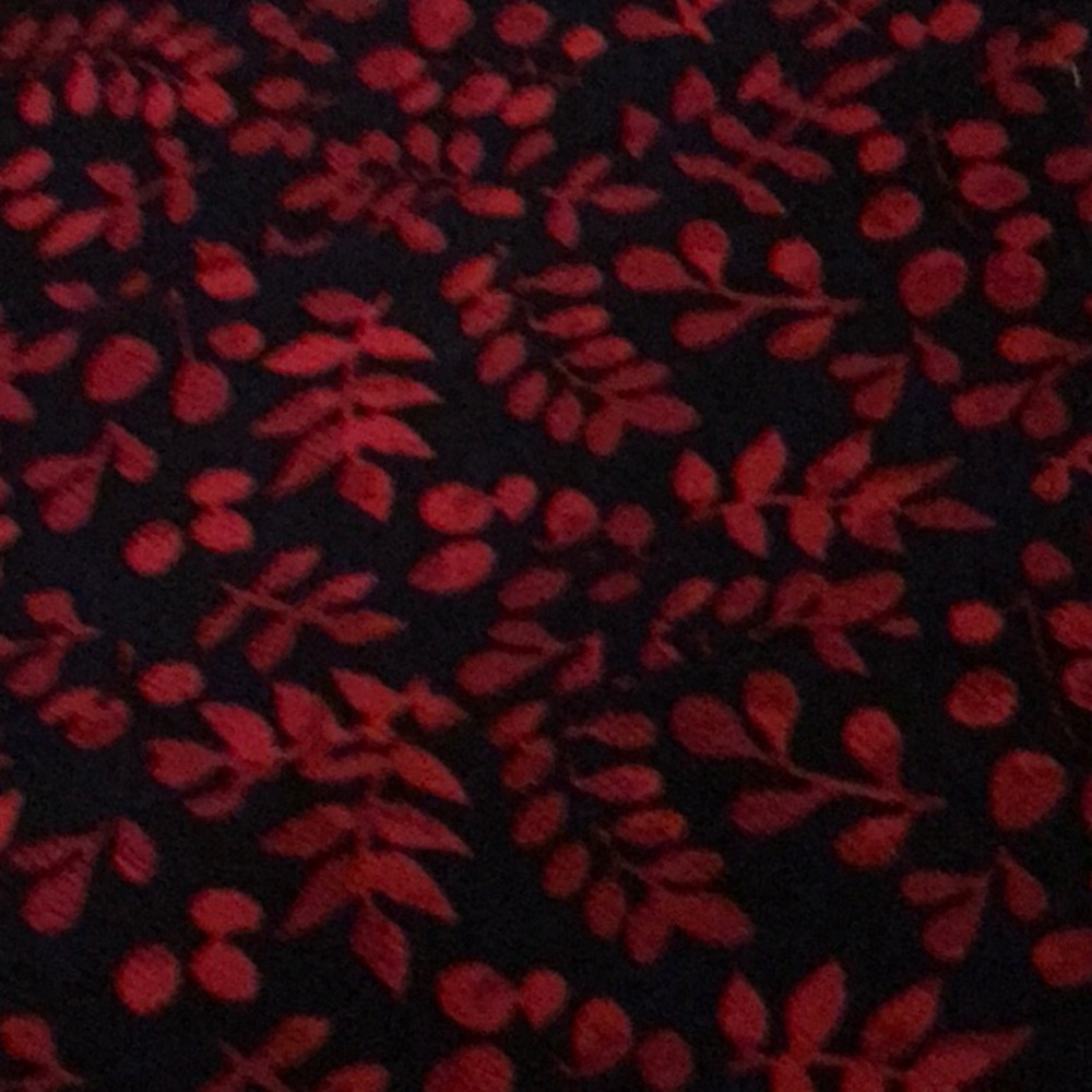 New LulaRoe skirt - Picture 4 of 4